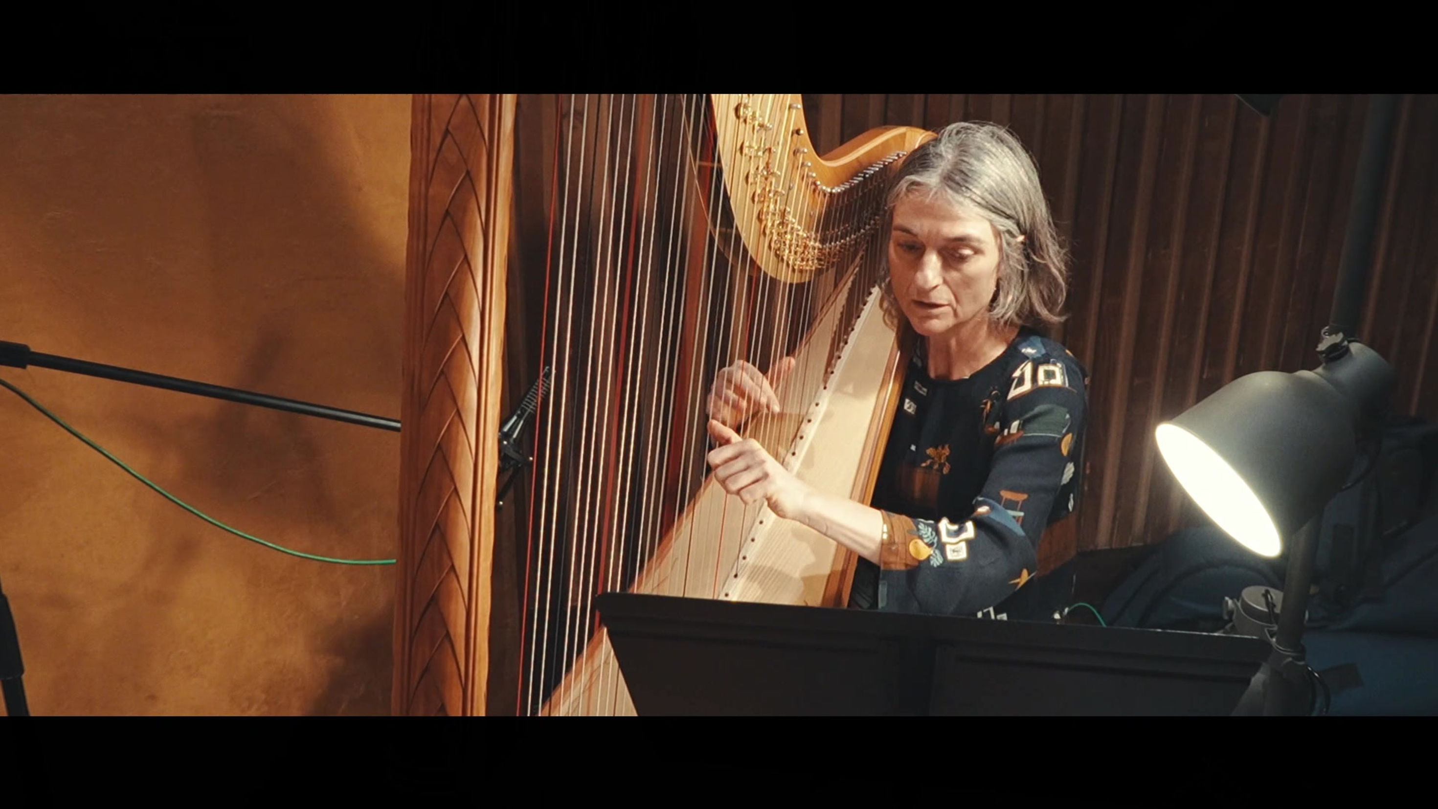 Le Monstre Orchestra enregistre "Mes Amoureuses" de Manuel Bleton